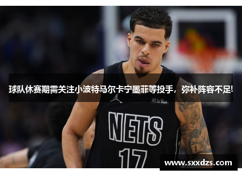 球队休赛期需关注小波特马尔卡宁墨菲等投手，弥补阵容不足!